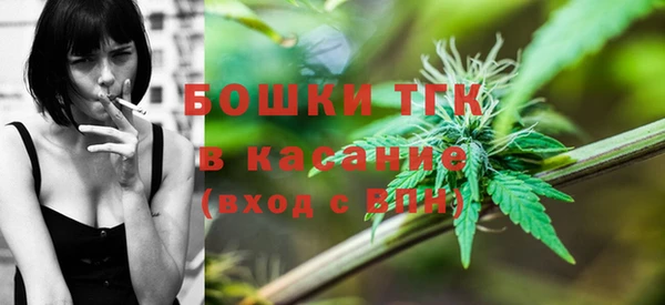 шишки Верхний Тагил